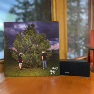 100 gecs – 1000 gecs vinyl